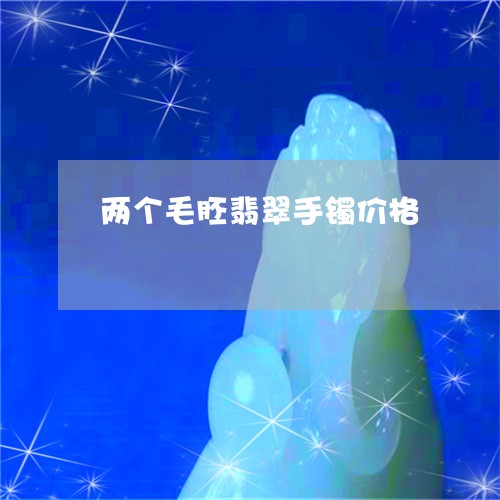 两个毛胚翡翠手镯价格/2023082539392