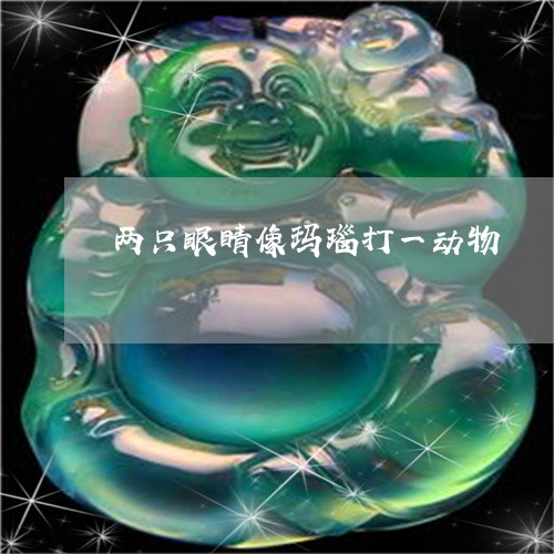 两只眼睛像玛瑙打一动物/2023070883927