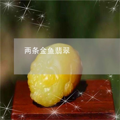 两条金鱼翡翠/2023080165069