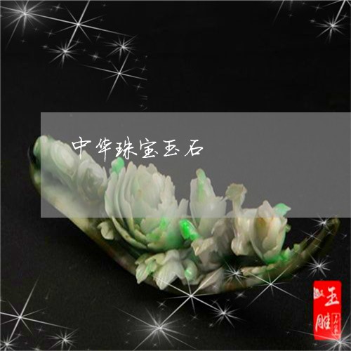 中华珠宝玉石/2023080176381