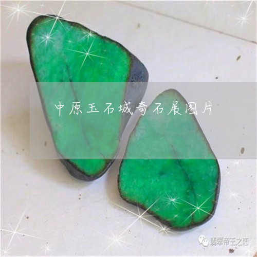 中原玉石城奇石展图片/2023041089363