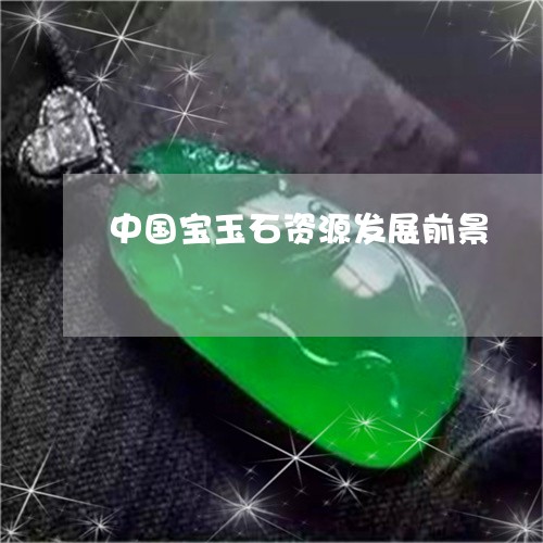 中国宝玉石资源发展前景/2023070873037