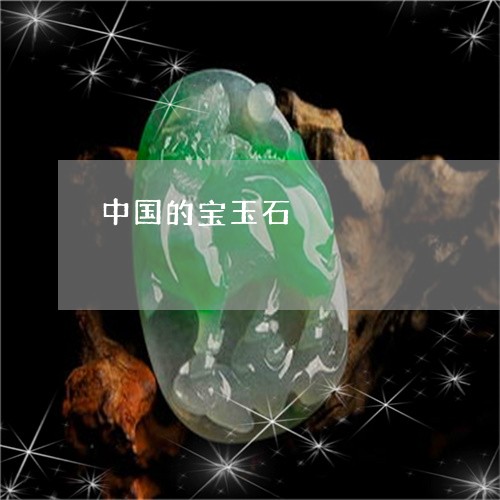 中国的宝玉石/2023080144048