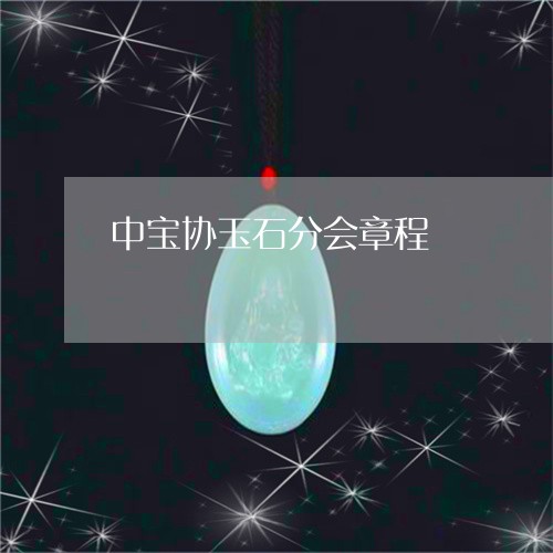 中宝协玉石分会章程/2023040192814