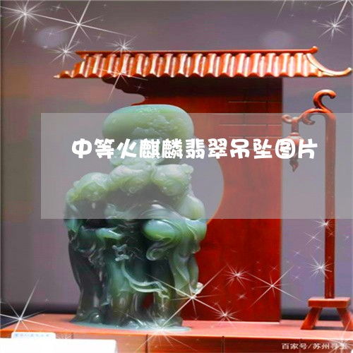 中等火麒麟翡翠吊坠图片/2023070840582