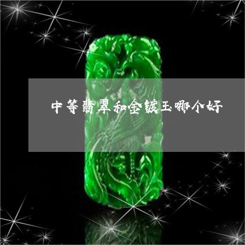 中等翡翠和金镀玉哪个好/2023070811693