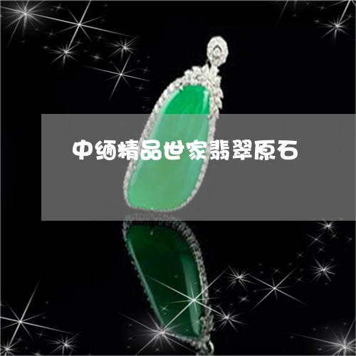 中缅精品世家翡翠原石/2023041164939