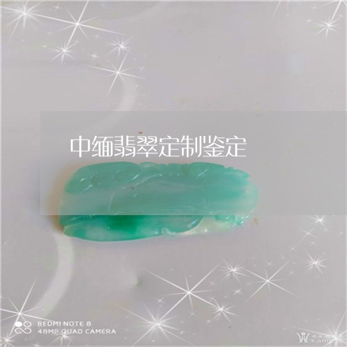 中缅翡翠定制鉴定/2023111687151