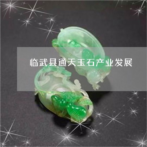 临武县通天玉石产业发展/2023070833827