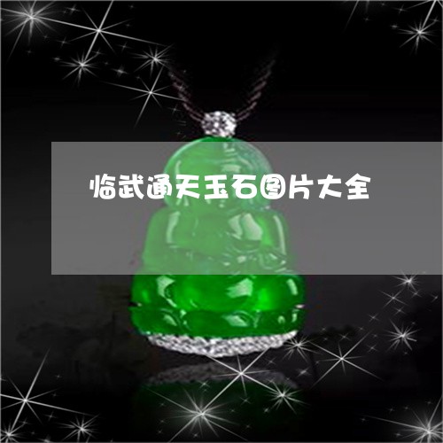 临武通天玉石图片大全/2023041112605