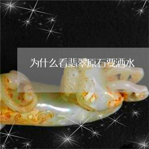 为什么看翡翠原石要洒水/2023070769593