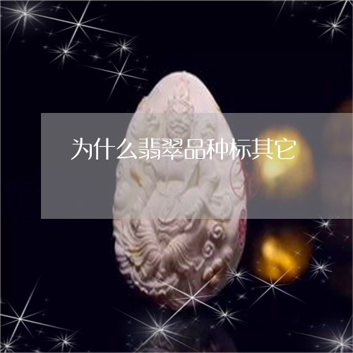 为什么翡翠品种标其它/2023082648059