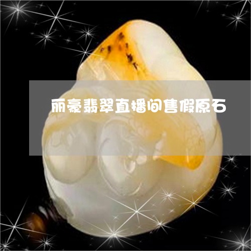 丽豪翡翠直播间售假原石/2023070781725