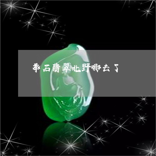 举石翡翠北野哪去了/2023111706040