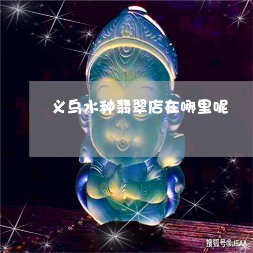 义乌水种翡翠店在哪里呢/2023070805261