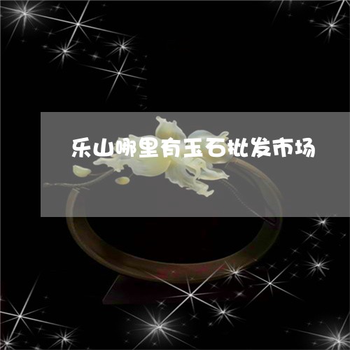 乐山哪里有玉石批发市场/2023070840471