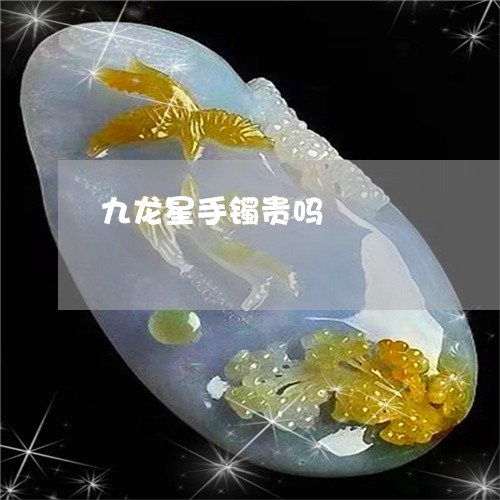 九龙星手镯贵吗/2023042648261