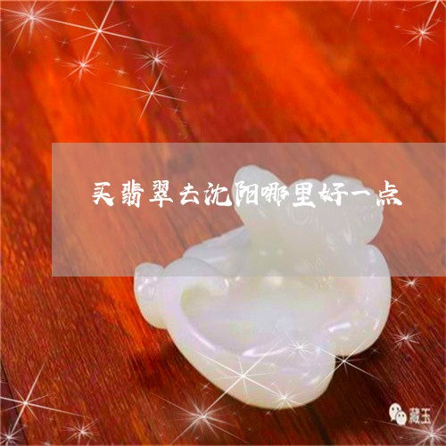 买翡翠去沈阳哪里好一点/2023042063925