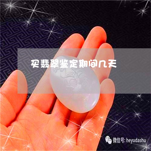 买翡翠鉴定期间几天/2023093070696