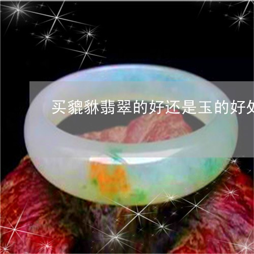 买貔貅翡翠的好还是玉的好处/2023100629683