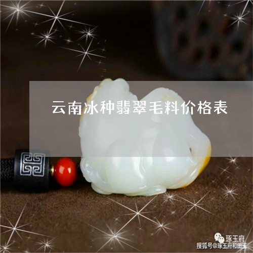 云南冰种翡翠毛料价格表/2023070823827