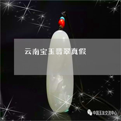 云南宝玉翡翠真假/2023112562715