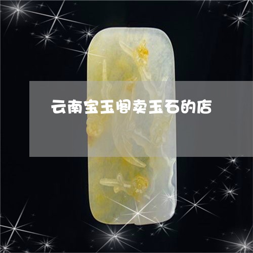 云南宝玉阁卖玉石的店/2023082508161