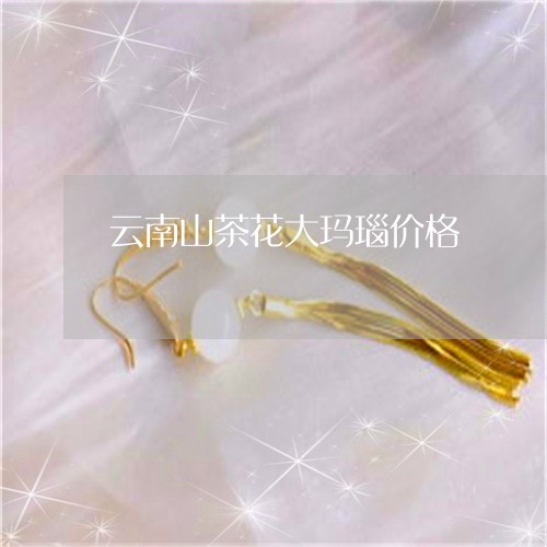 云南山茶花大玛瑙价格/2023040983827