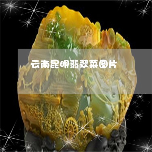 云南昆明翡翠菜图片/2023122024048