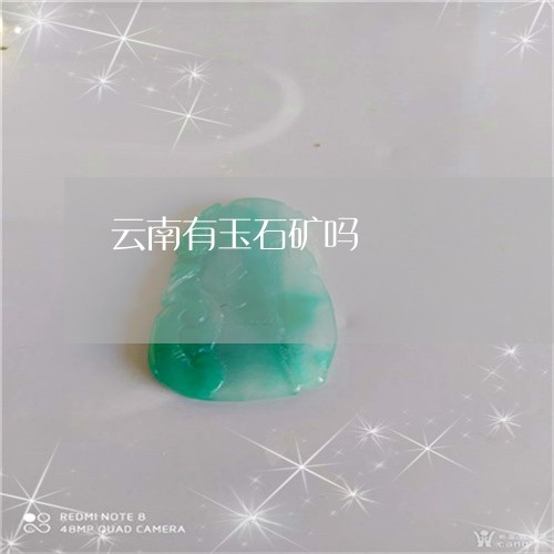 云南有玉石矿吗/2023062547259