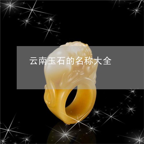 云南玉石的名称大全/2023033104136