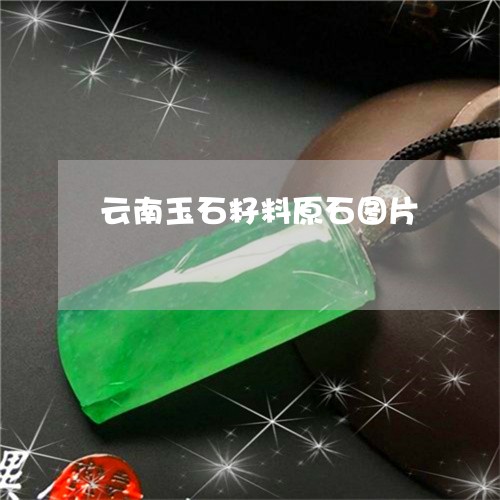 云南玉石籽料原石图片/2023040980502