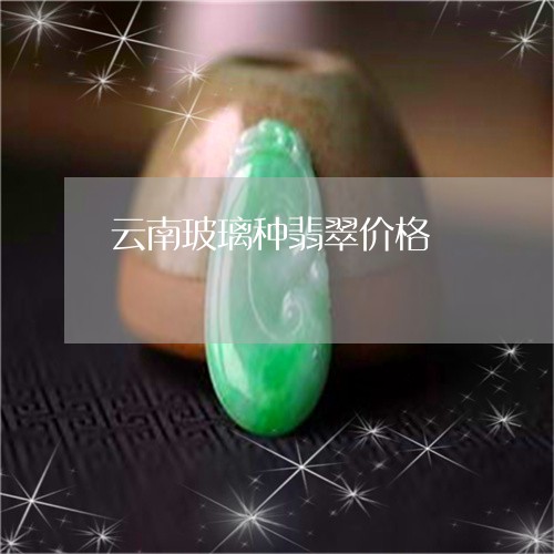 云南玻璃种翡翠价格/2023033190391