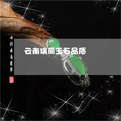 云南瑞丽玉石品质/2023112584714