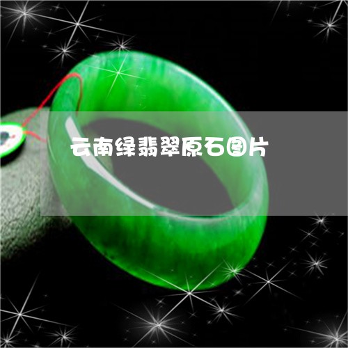 云南绿翡翠原石图片/2023122080372