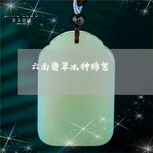 云南翡翠冰种棉絮/2023112526237