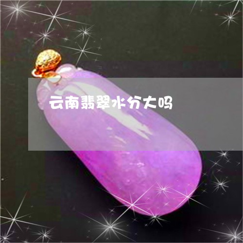 云南翡翠水分大吗/2023112510015