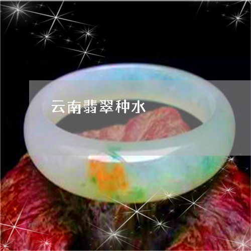 云南翡翠种水/2023073179402