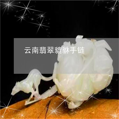 云南翡翠貔貅手链/2023112575156