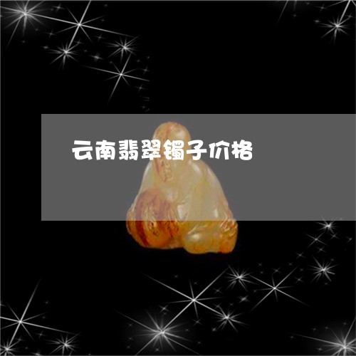 云南翡翠镯子价格/2023112561492