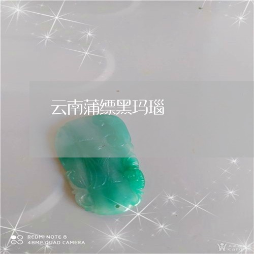 云南蒲缥黑玛瑙/2023062604159