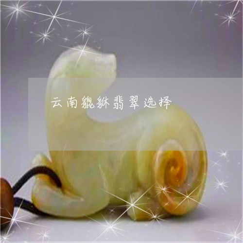 云南貔貅翡翠选择/2023112524026