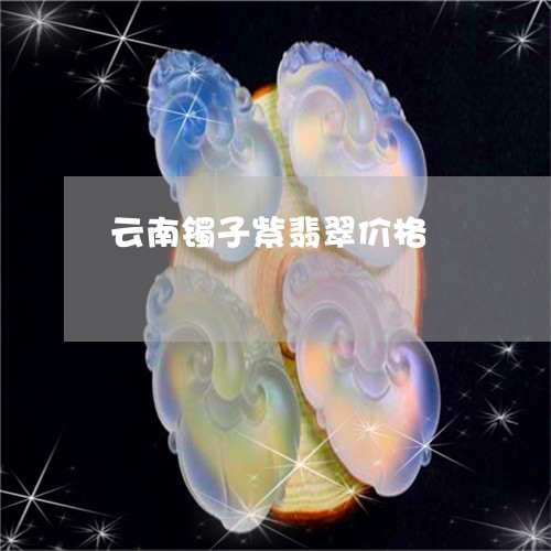 云南镯子紫翡翠价格/2023033005058