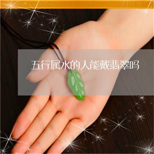 五行属水的人能戴翡翠吗/2023111617817