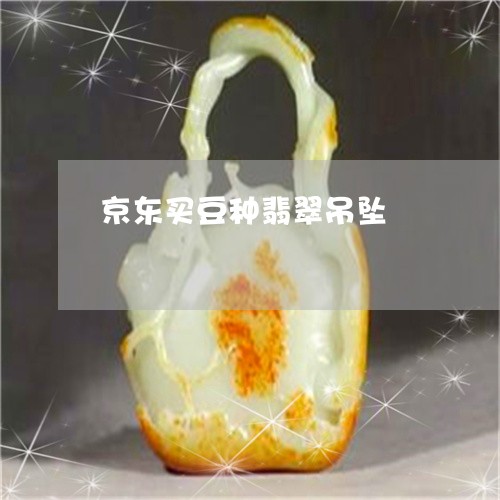 京东买豆种翡翠吊坠/2023033012704