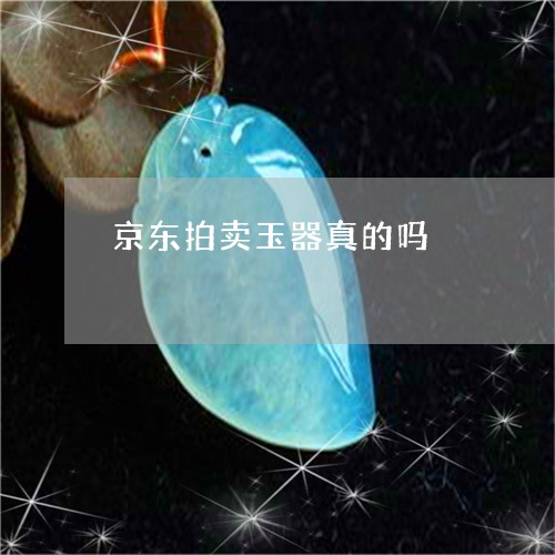 京东拍卖玉器真的吗/2023033069362