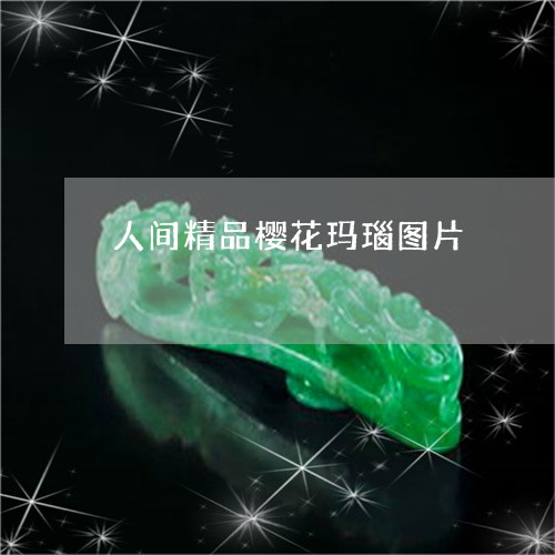 人间精品樱花玛瑙图片/2023082424169