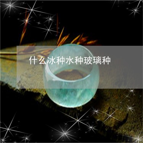 什么冰种水种玻璃种/2023033125146