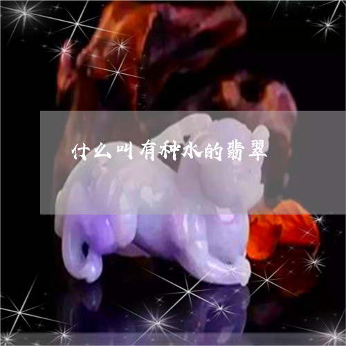 什么叫有种水的翡翠/2023033141613