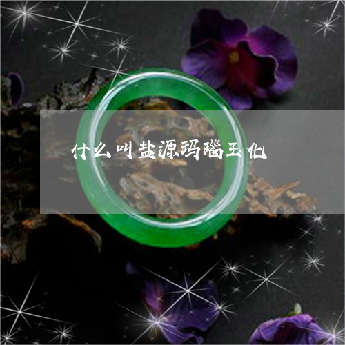 什么叫盐源玛瑙玉化/2023033157248